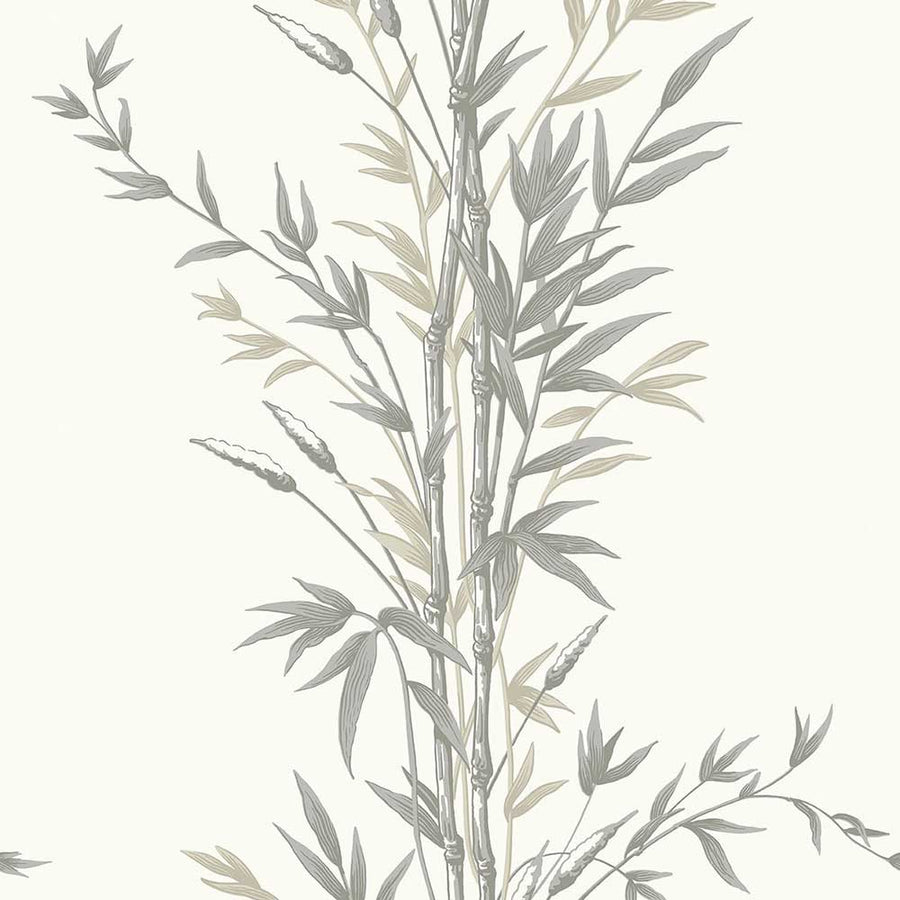 Bamboo Wallpaper by Cole & Son - 100/5025 | Modern 2 Interiors