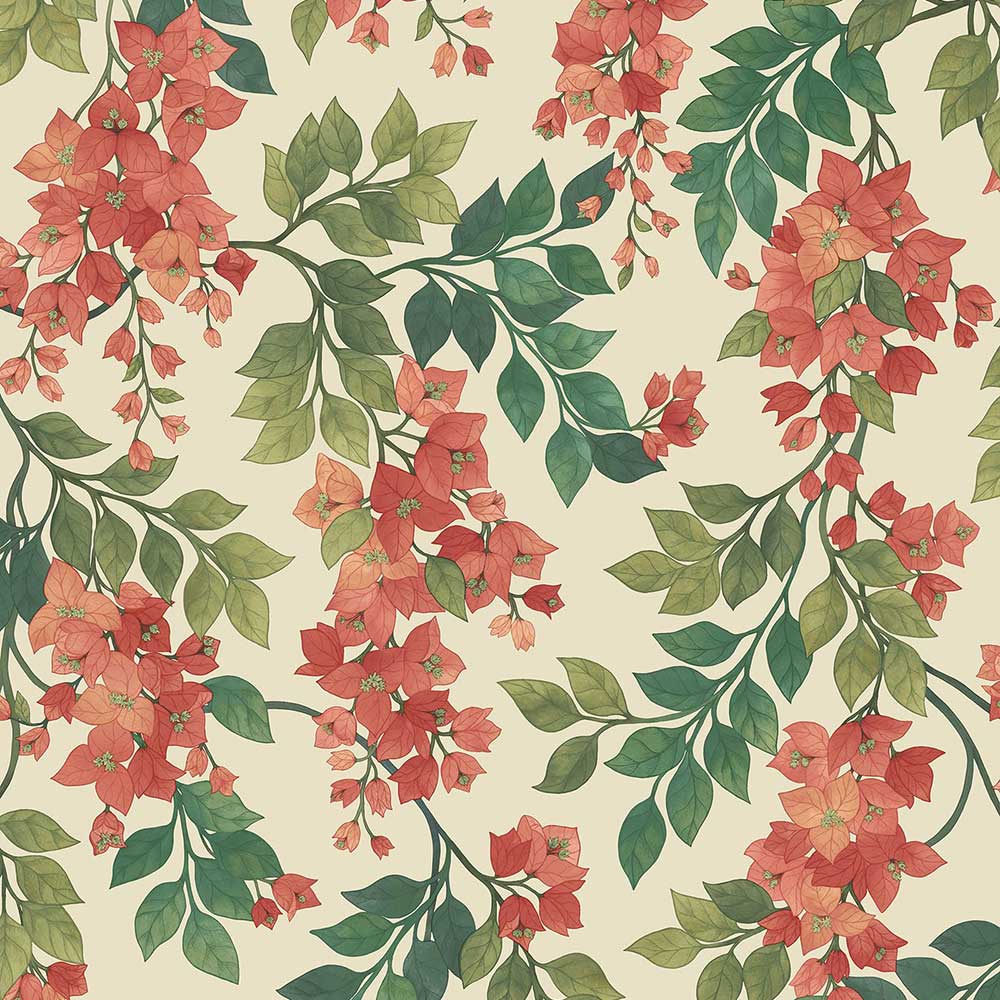 Bougainvillea Wallpaper by Cole & Son - 117/6016 | Modern 2 Interiors