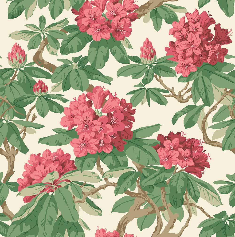 Bourlie Wallpaper by Cole & Son - 99/4019 | Modern 2 Interiors