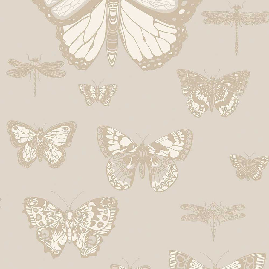 Butterflies & Dragonflies Wallpaper by Cole & Son - 103/15064 | Modern 2 Interiors