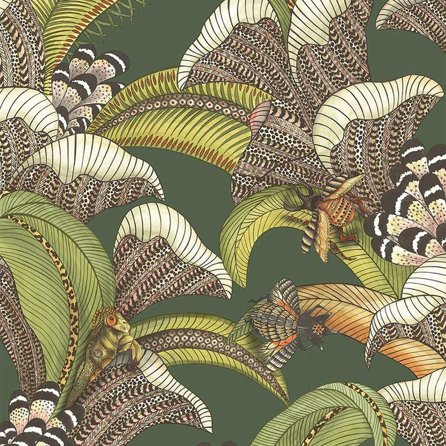Hoopoe Leaves Wallpaper by Cole & Son - 119/1003 | Modern 2 Interiors