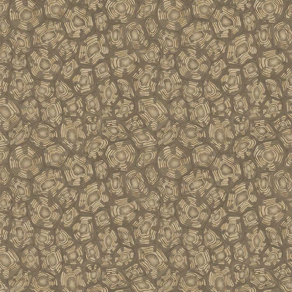 Savanna Shell Wallpaper by Cole & Son - 119/4020 | Modern 2 Interiors