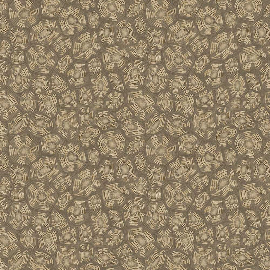 Savanna Shell Wallpaper by Cole & Son - 119/4020 | Modern 2 Interiors