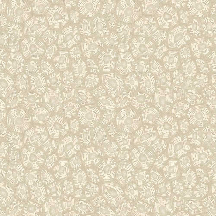 Savanna Shell Wallpaper by Cole & Son - 119/4021 | Modern 2 Interiors