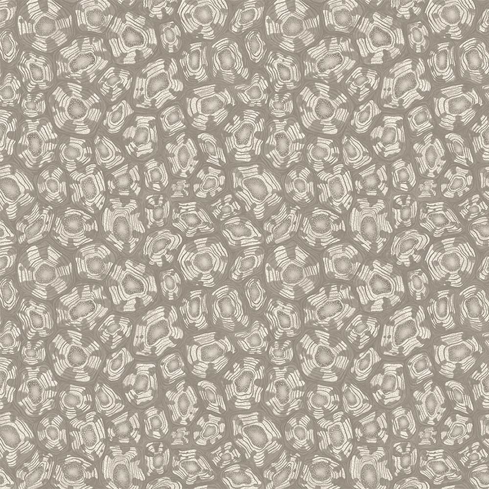 Savanna Shell Wallpaper by Cole & Son - 119/4022 | Modern 2 Interiors