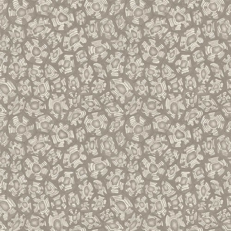 Savanna Shell Wallpaper by Cole & Son - 119/4022 | Modern 2 Interiors