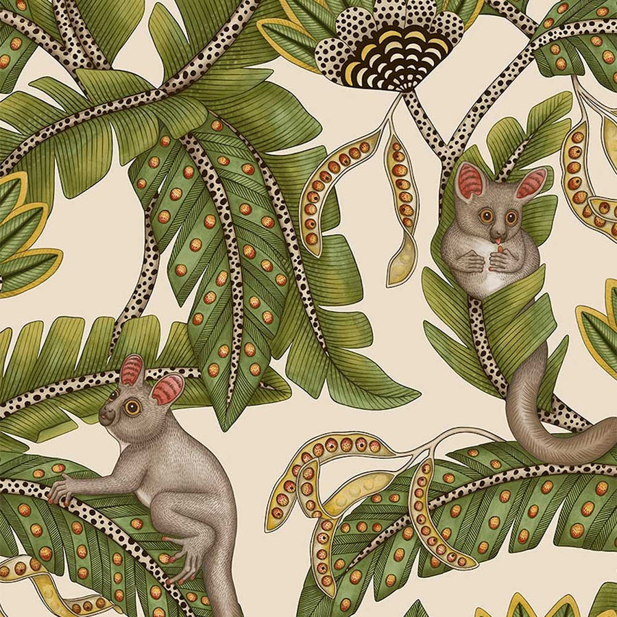 Bush Baby Wallpaper by Cole & Son - 119/7032 | Modern 2 Interiors