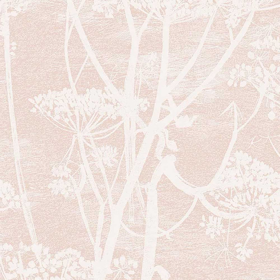 Cow Parsley Icons Wallpaper by Cole & Son - 112/8028 | Modern 2 Interiors