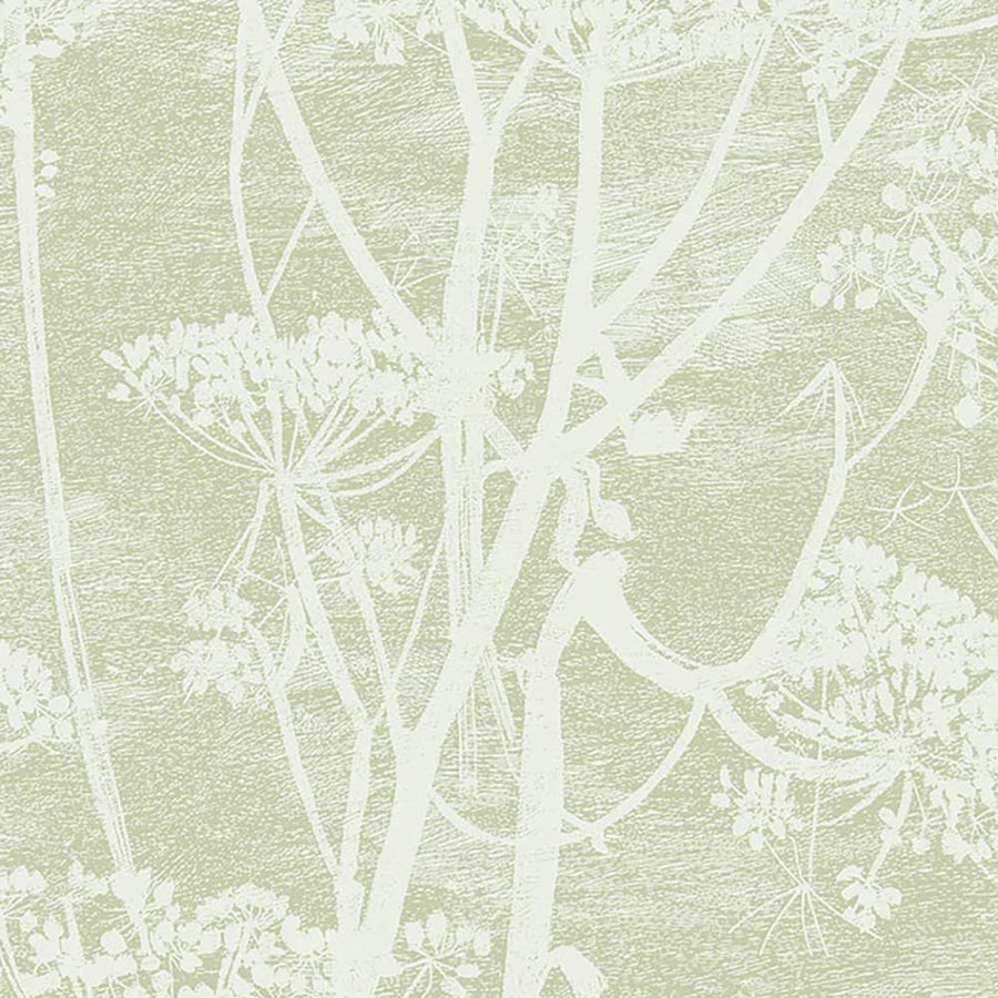 Cow Parsley Icons Wallpaper by Cole & Son - 112/8029 | Modern 2 Interiors
