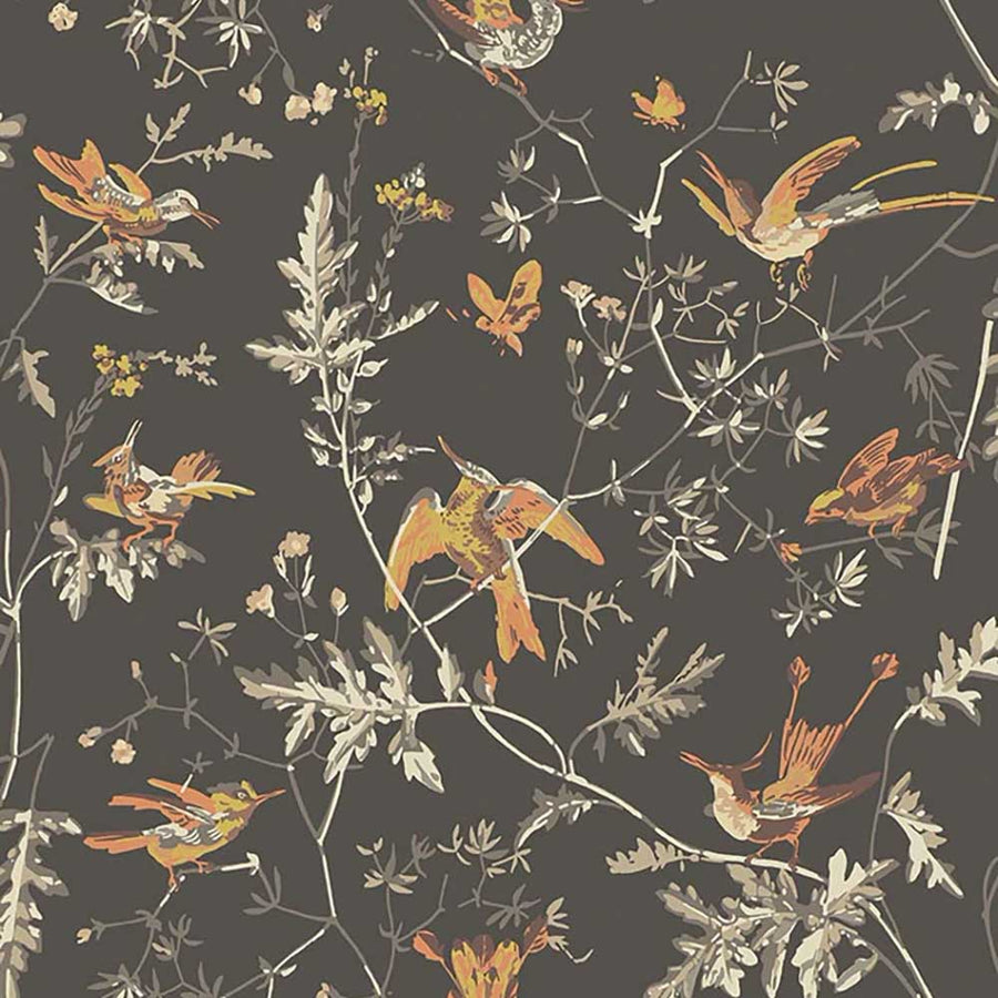 Hummingbirds Icon Wallpaper by Cole & Son - 112/4017 | Modern 2 Interiors