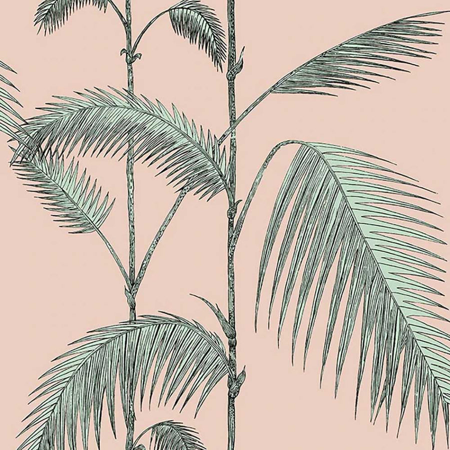 Palm Leaves Icons Wallpaper by Cole & Son - 112/2005 | Modern 2 Interiors