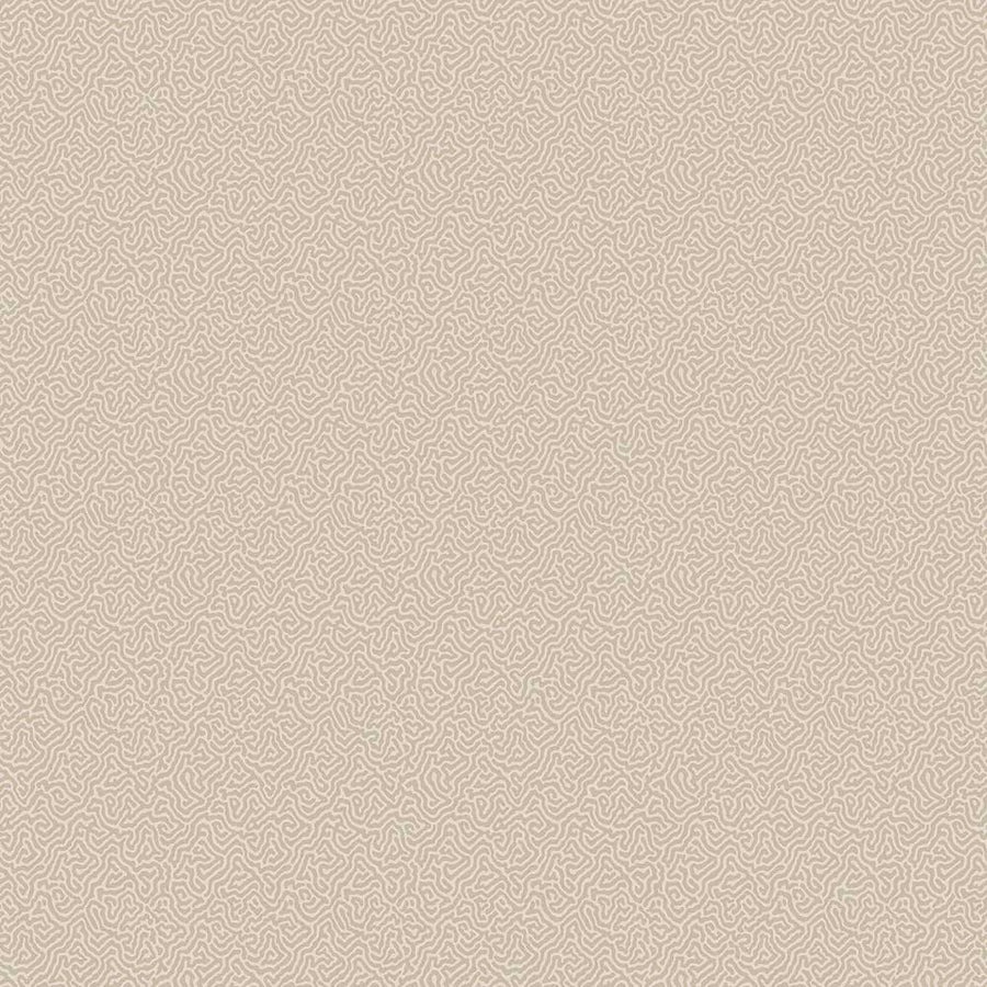 Coral Wallpaper by Cole & Son - 106/5070 | Modern 2 Interiors