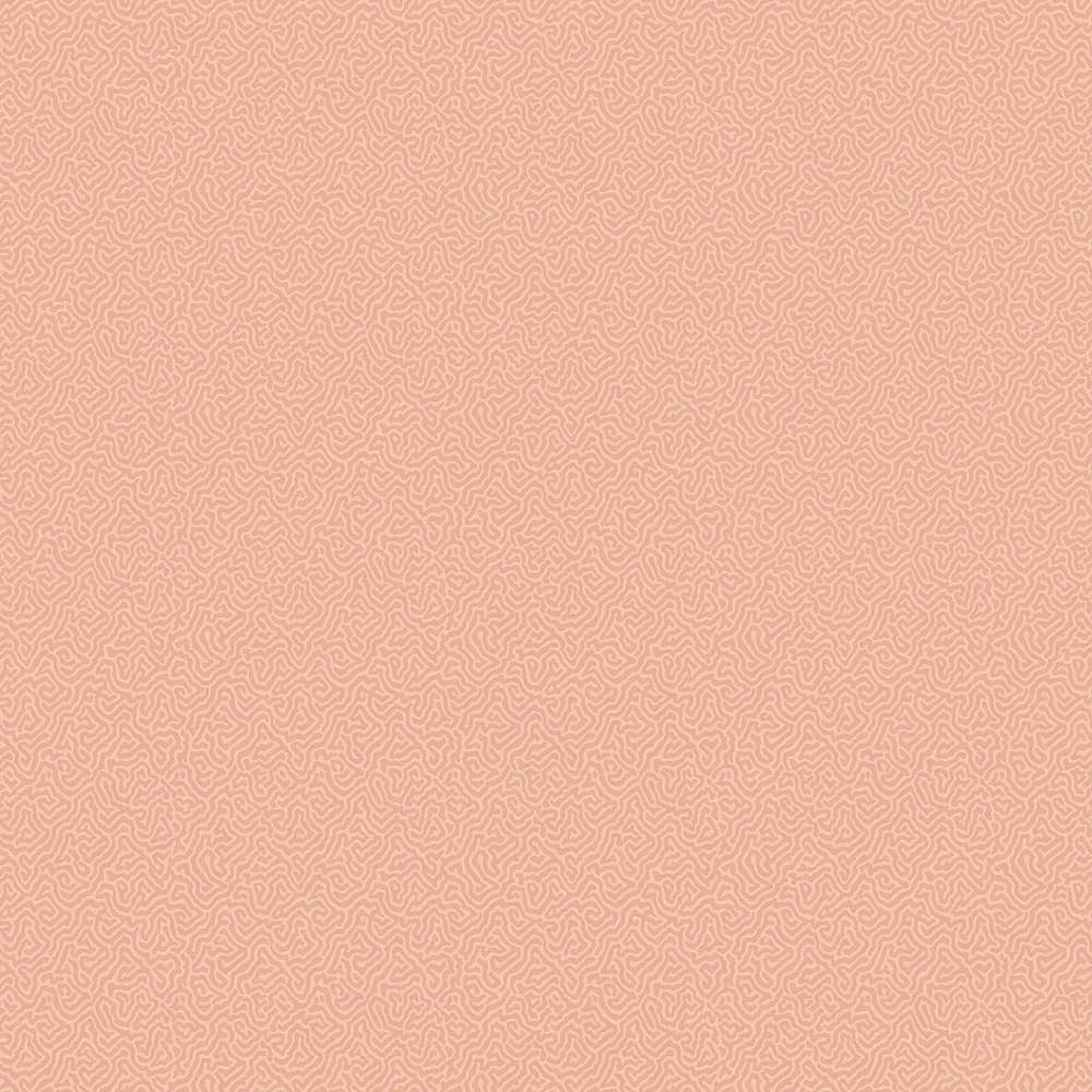 Coral Wallpaper by Cole & Son - 106/5075 | Modern 2 Interiors