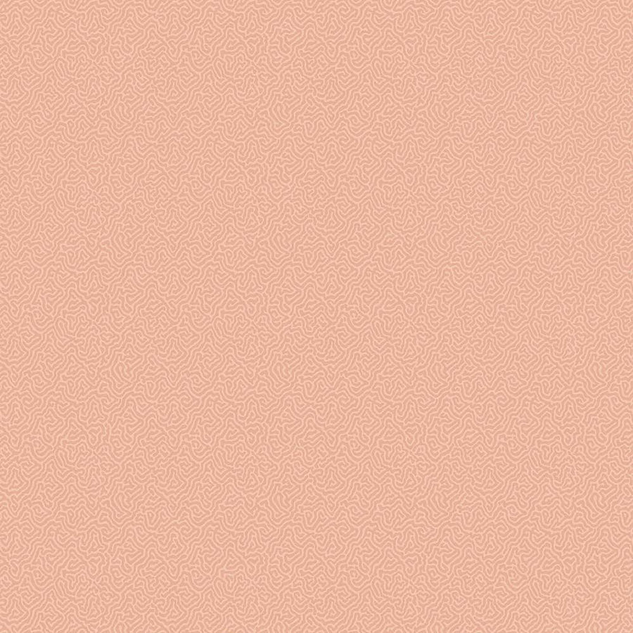 Coral Wallpaper by Cole & Son - 106/5075 | Modern 2 Interiors