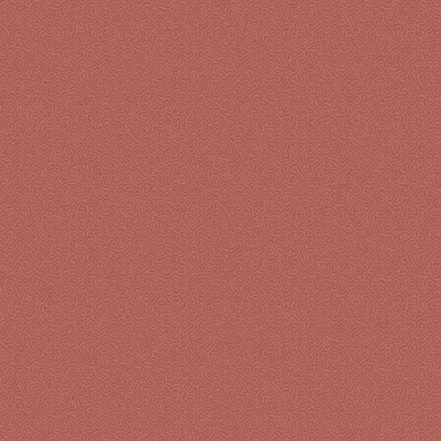 Coral Wallpaper by Cole & Son - 106/5076 | Modern 2 Interiors