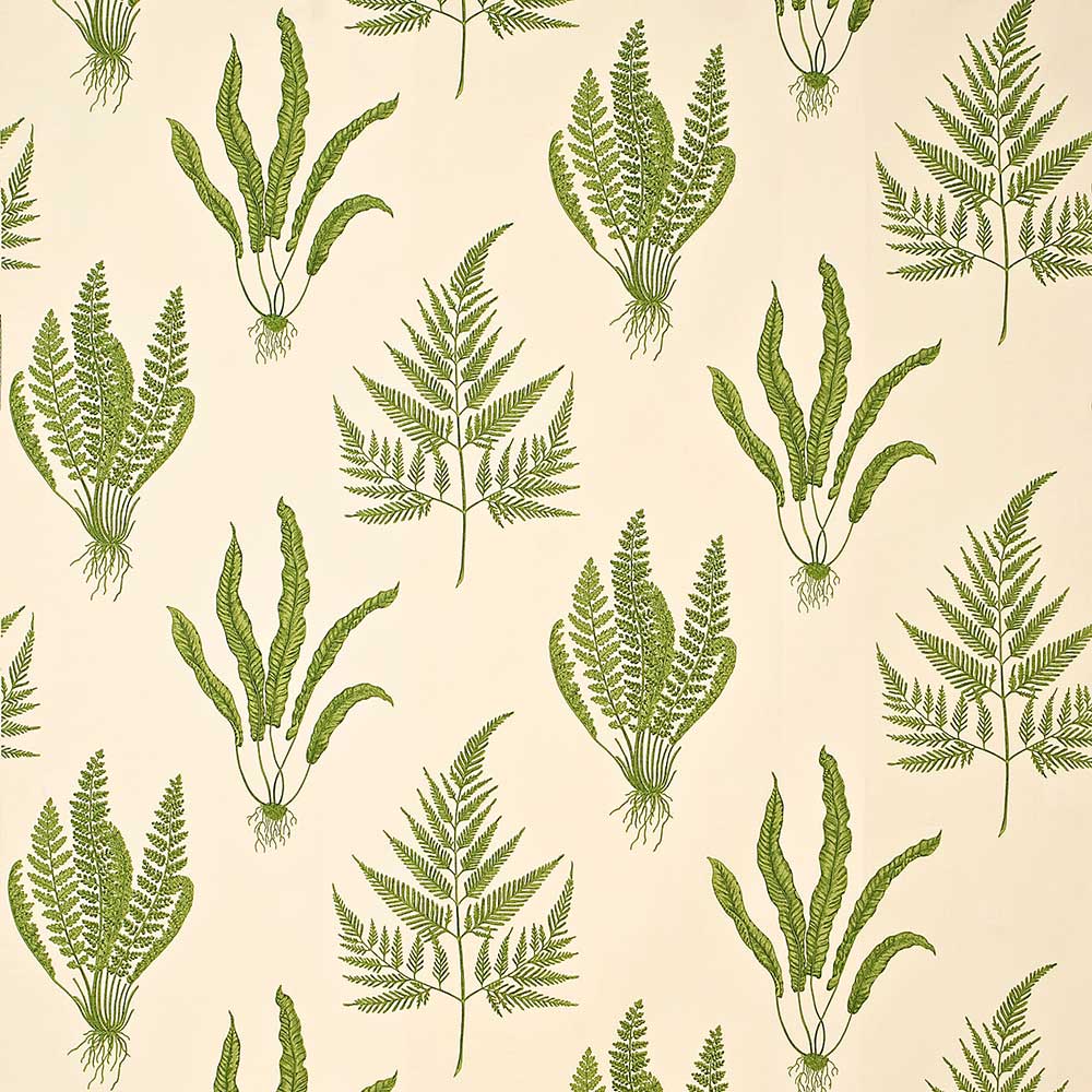 Woodland Ferns Green Fabric by Sanderson - DAPGWO202 | Modern 2 Interiors