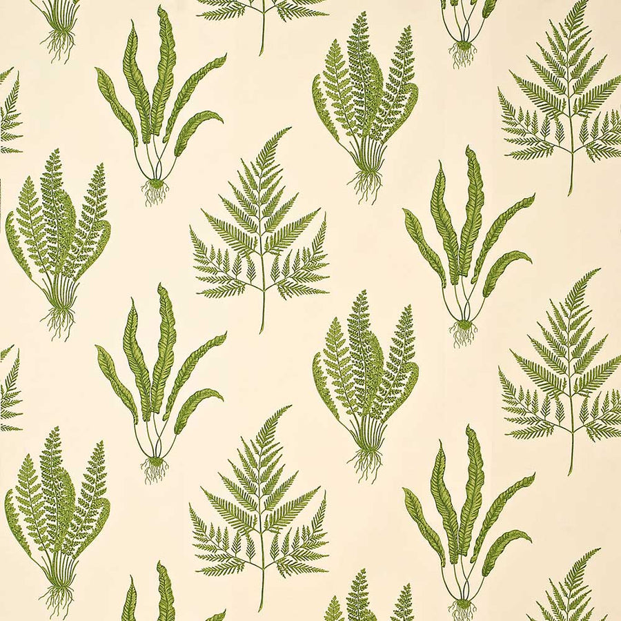Woodland Ferns Green Fabric by Sanderson - DAPGWO202 | Modern 2 Interiors
