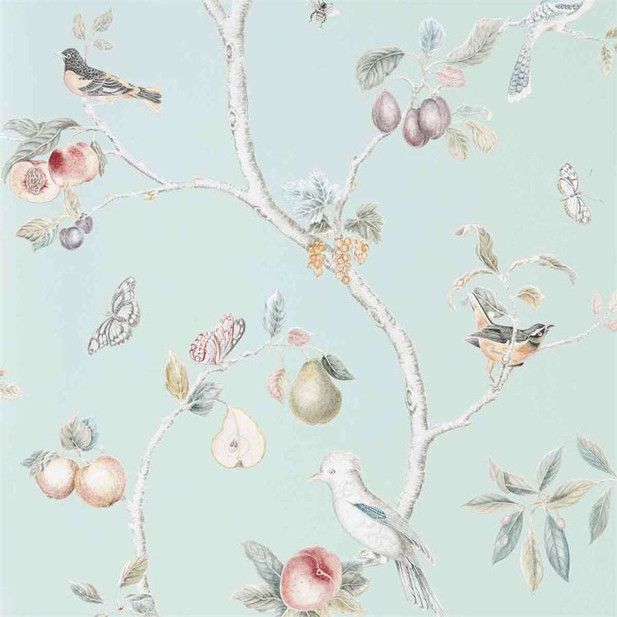 Fruit Aviary Duck Egg & Multi Wallpaper by Sanderson - 216312 | Modern 2 Interiors