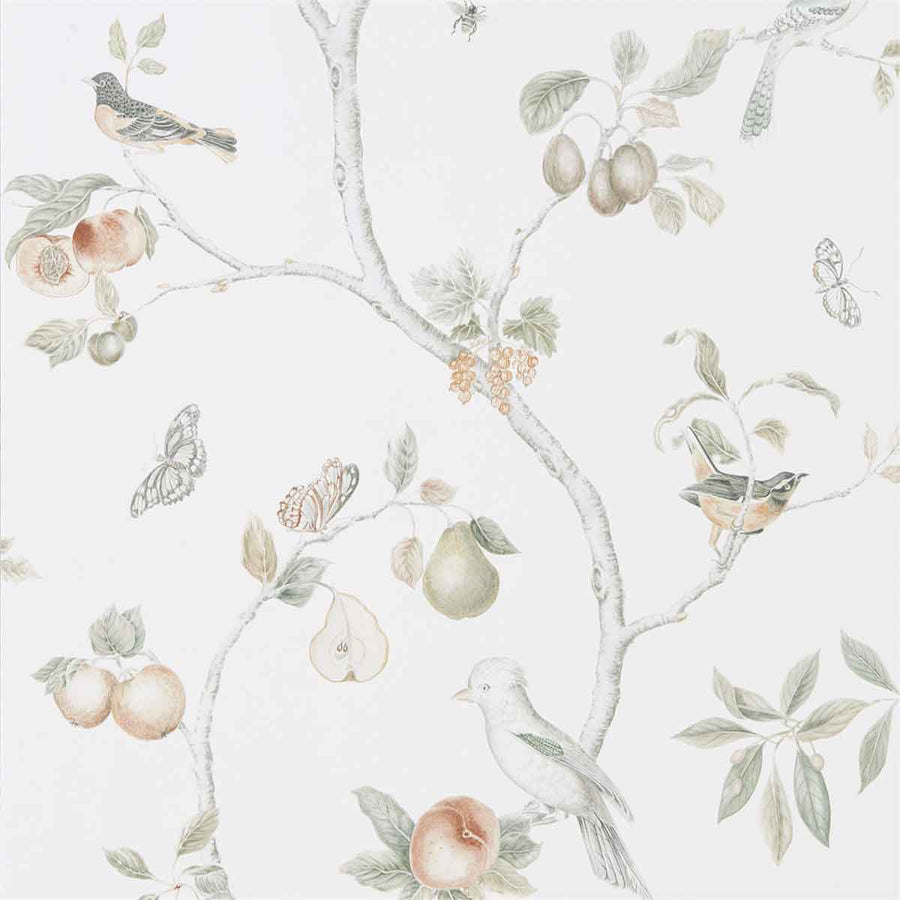 Fruit Aviary Ivory & Mineral Wallpaper by Sanderson - 216313 | Modern 2 Interiors