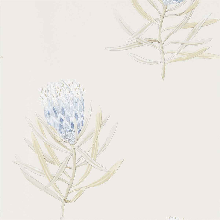 Protea Flower China Blue & Canvas Wallpaper by Sanderson - 216327 | Modern 2 Interiors