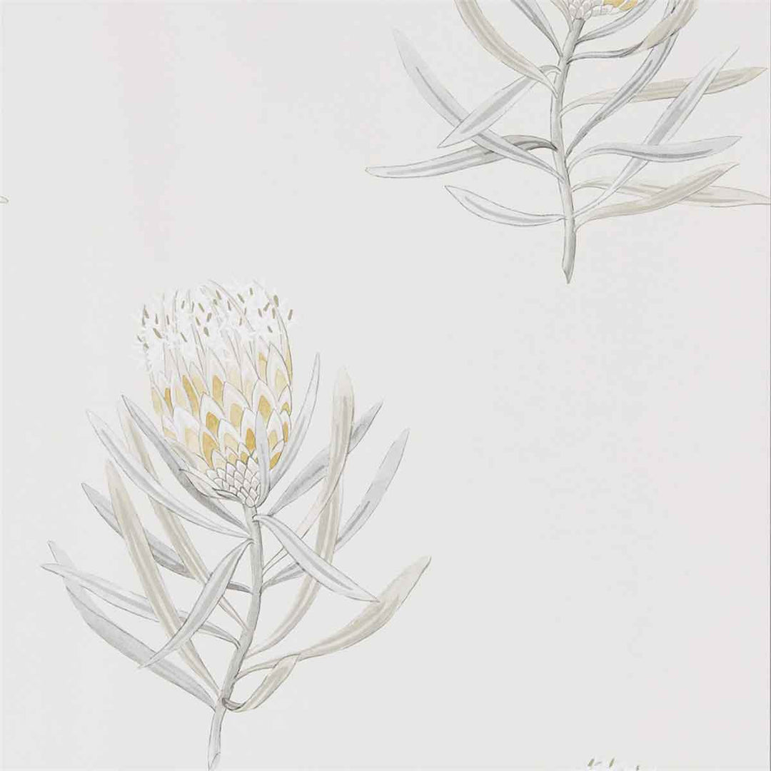 Protea Flower Daffodil & Natural Wallpaper by Sanderson - 216328 | Modern 2 Interiors