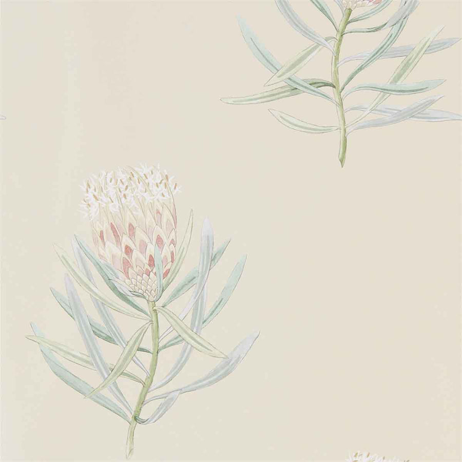 Protea Flower Russet & Green Wallpaper by Sanderson - 216329 | Modern 2 Interiors