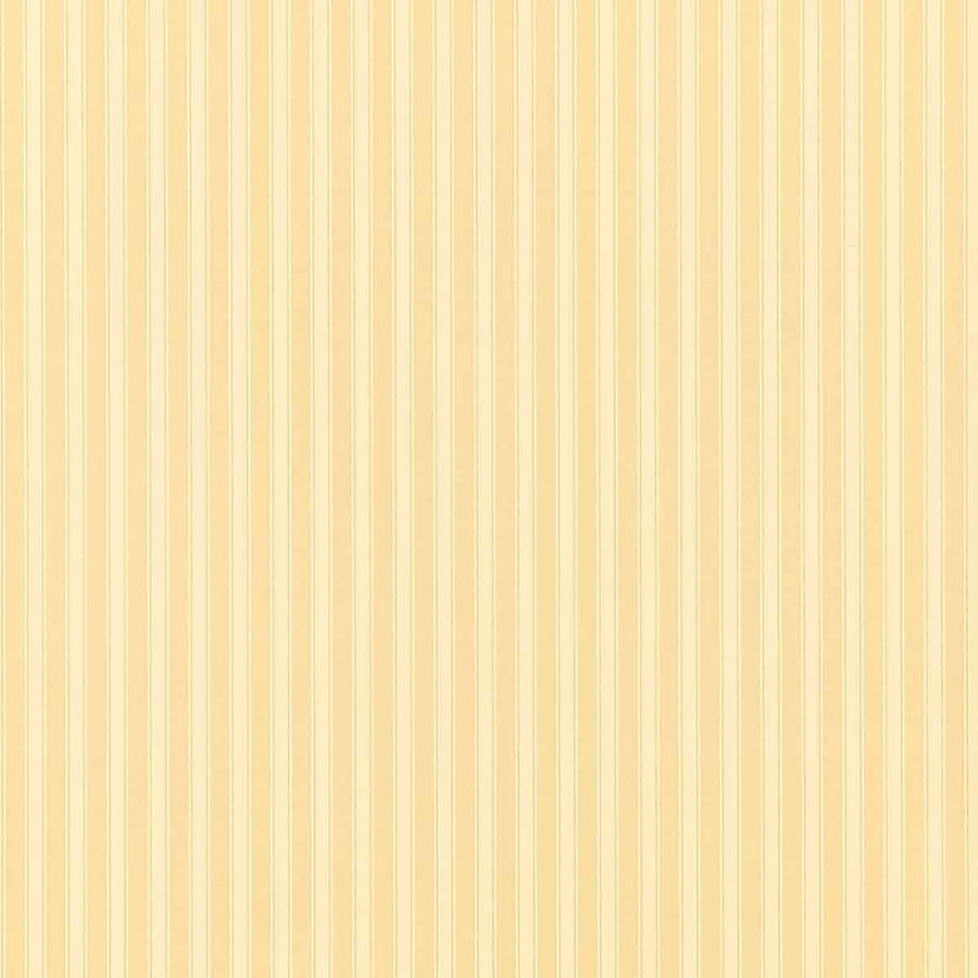 New Tiger Stripe Honey & Cream Wallpaper by Sanderson - DCAVTP104 | Modern 2 Interiors