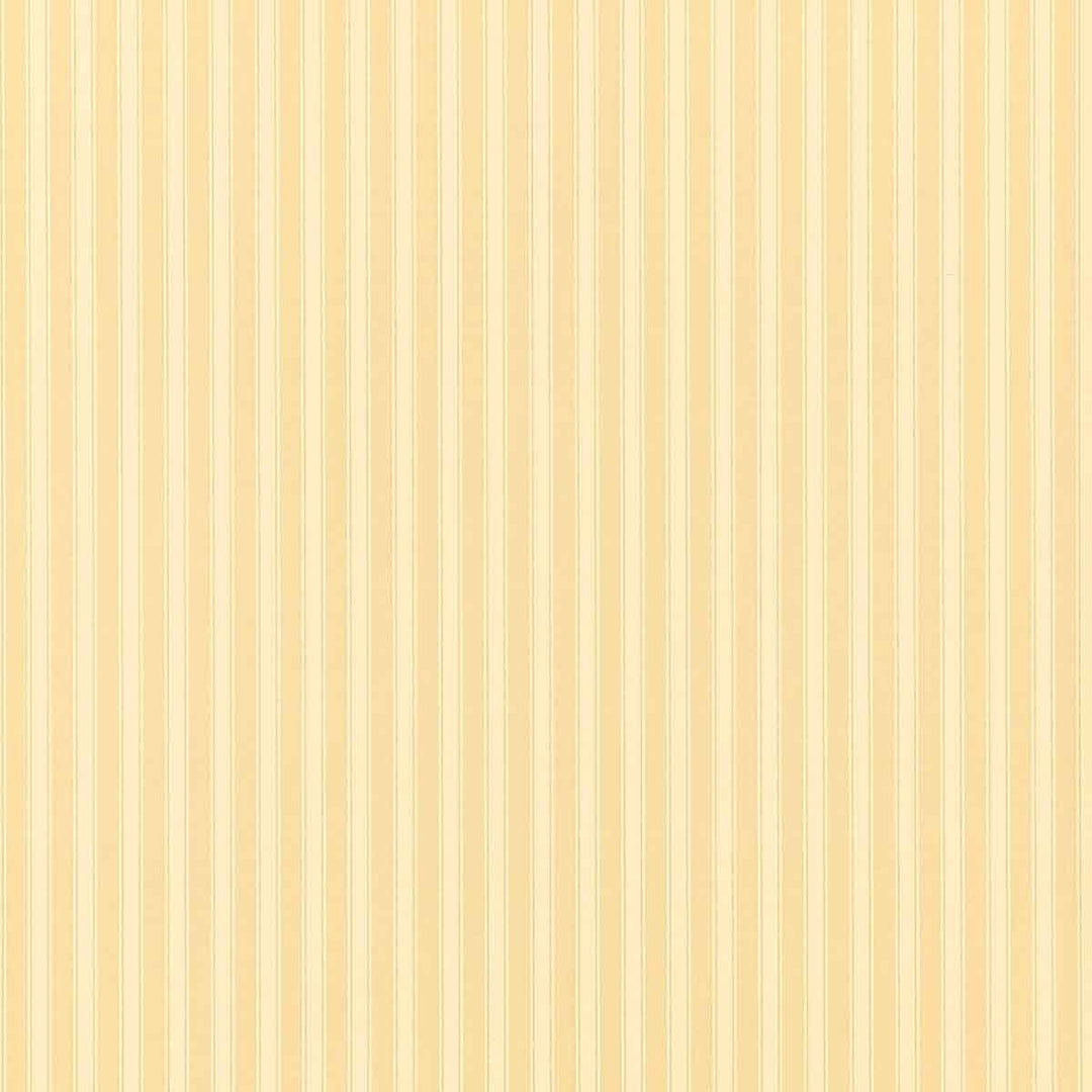 New Tiger Stripe Honey & Cream Wallpaper by Sanderson - DCAVTP104 | Modern 2 Interiors