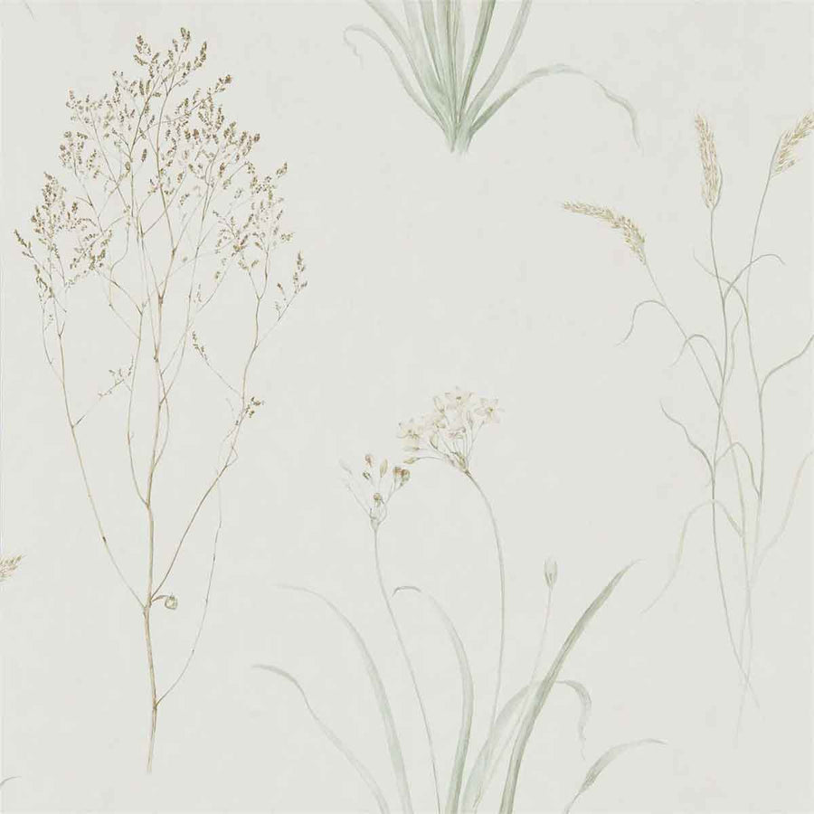 Farne Grasses Willow & Pebble Wallpaper by Sanderson - 216488 | Modern 2 Interiors