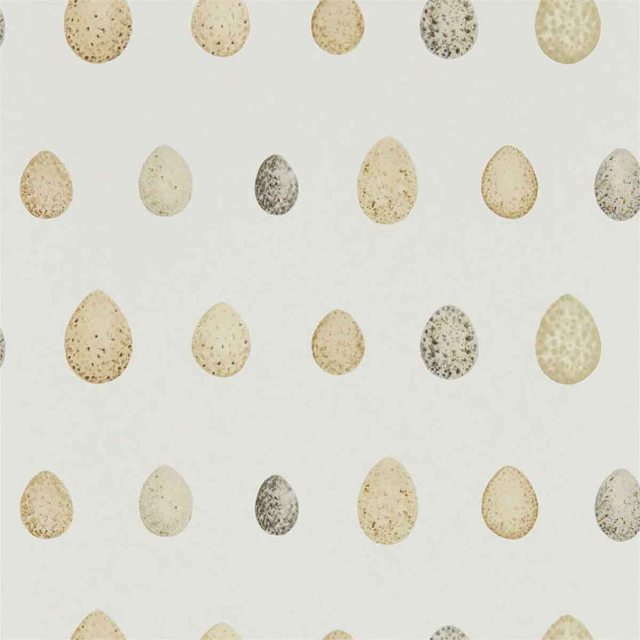 Nest Egg Corn Graphite Wallpaper by Sanderson - 216505 | Modern 2 Interiors