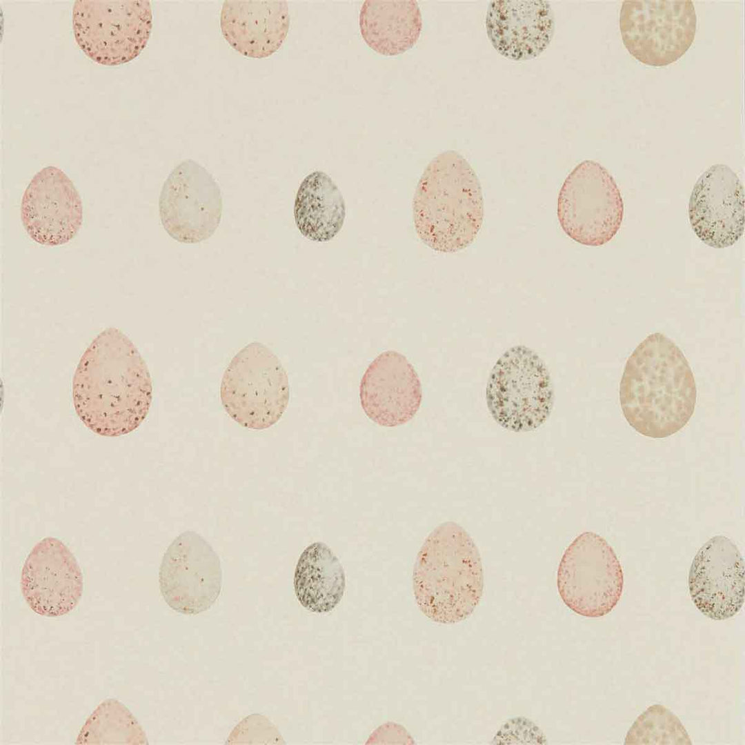Nest Egg Blush pink Wallpaper by Sanderson - 216506 | Modern 2 Interiors