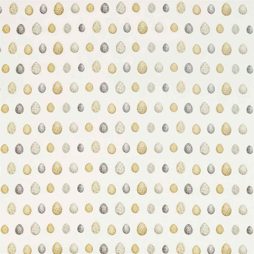 Nest Egg Corn & Graphite Fabric by Sanderson - 226424 | Modern 2 Interiors