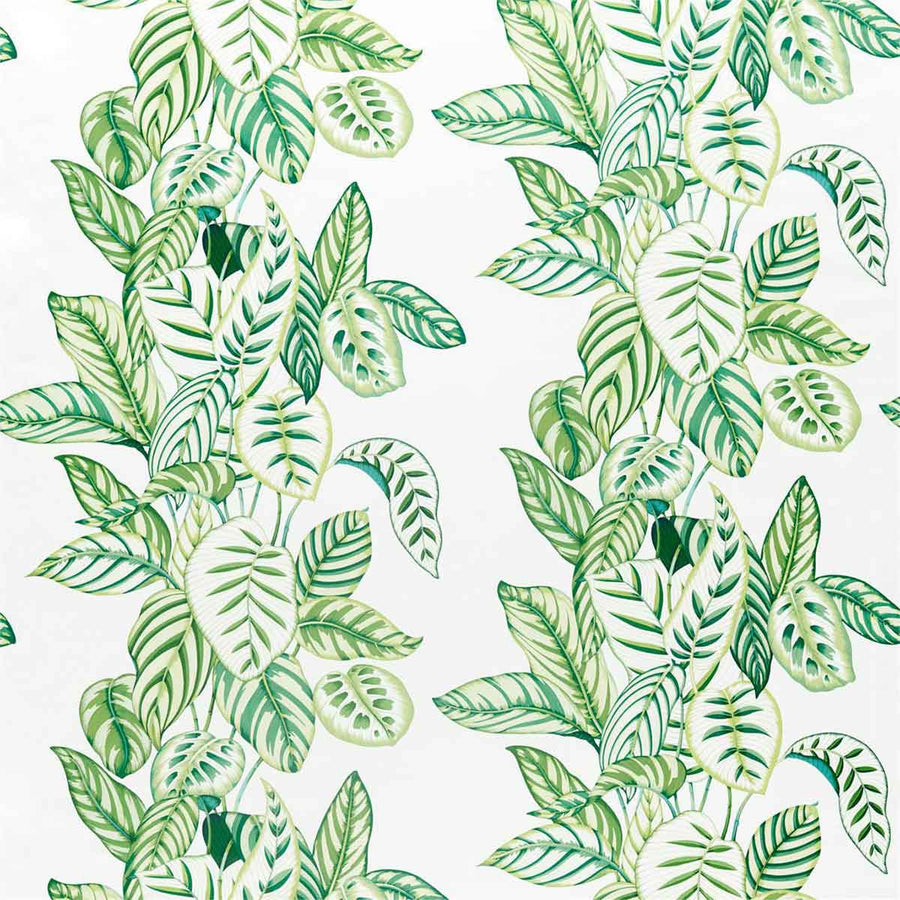 Calathea Botanical Green Fabric by Sanderson - 226575 | Modern 2 Interiors