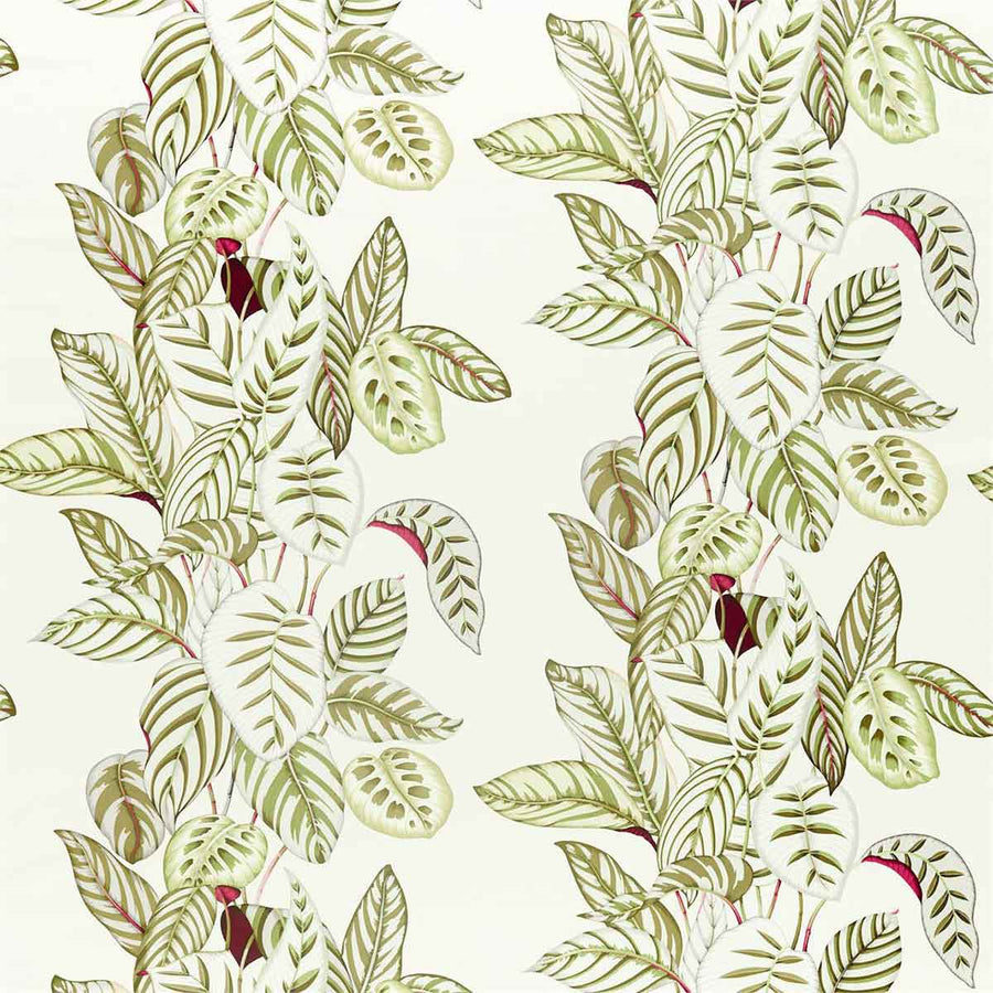 Calathea Olive Fabric by Sanderson - 226576 | Modern 2 Interiors