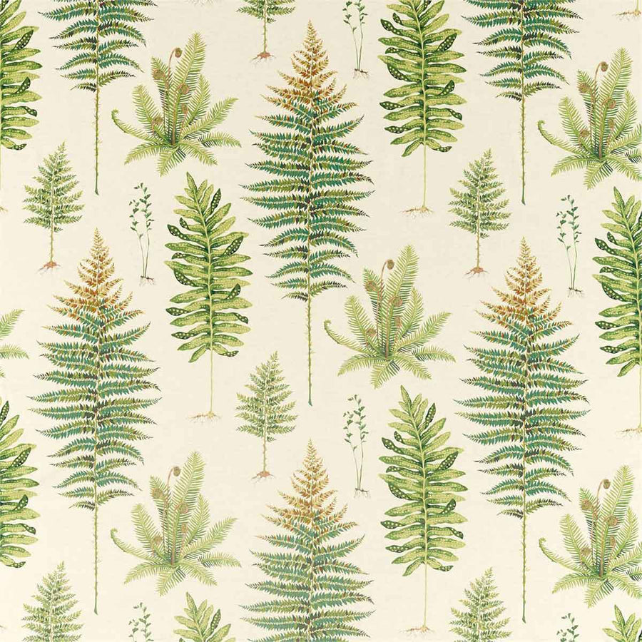 Fernery Olive Fabric by Sanderson - 226578 | Modern 2 Interiors