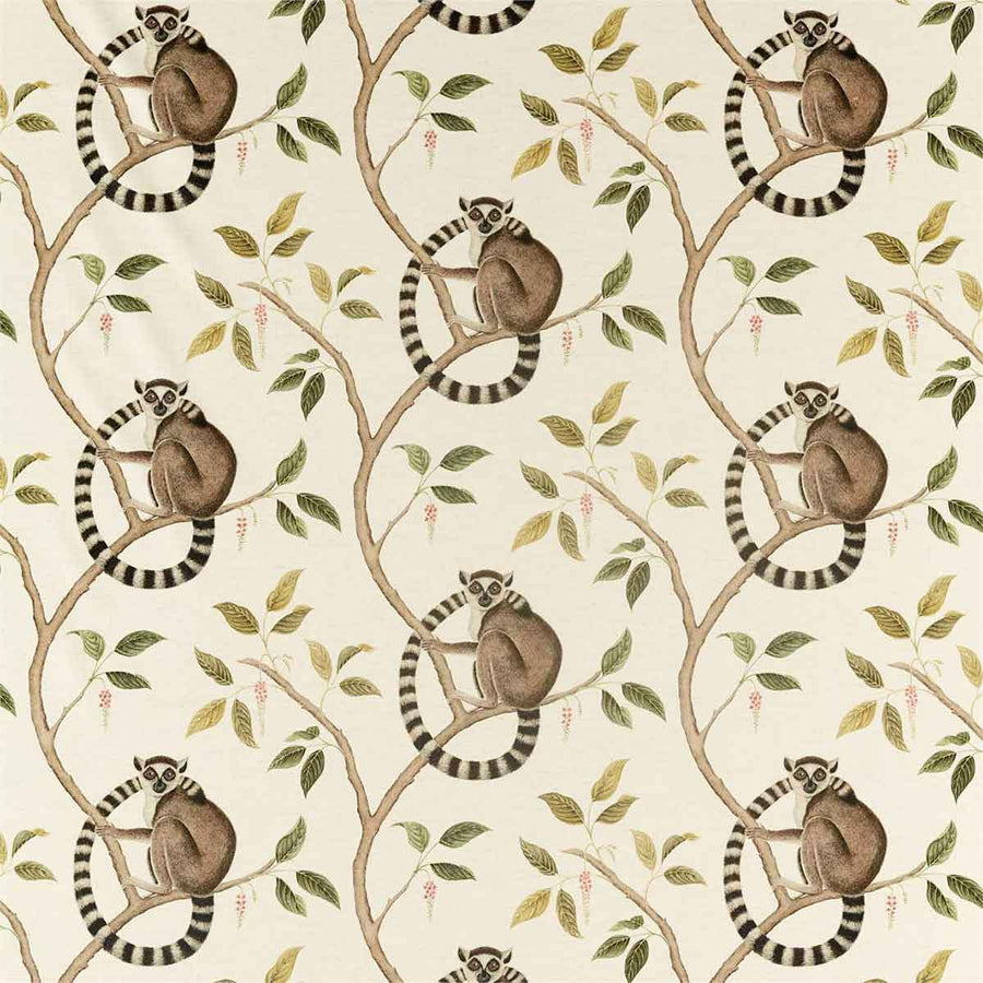 Ringtailed Lemur Olive Fabric by Sanderson - 226581 | Modern 2 Interiors