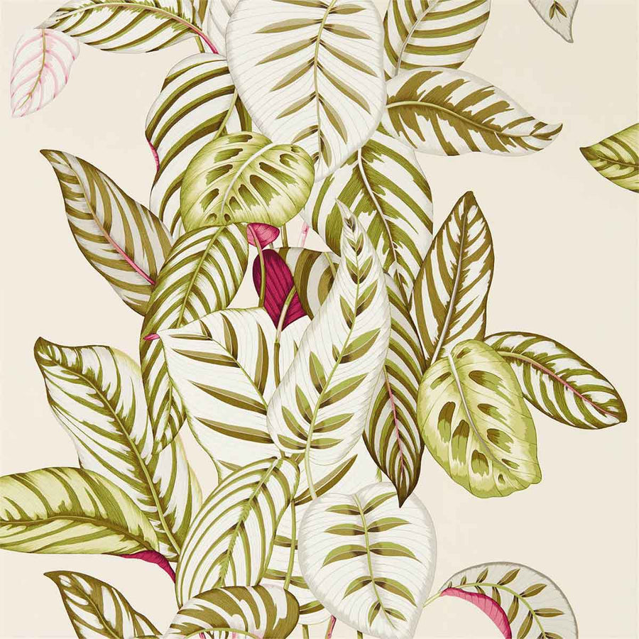 Calathea Olive Wallpaper by Sanderson - 216631 | Modern 2 Interiors