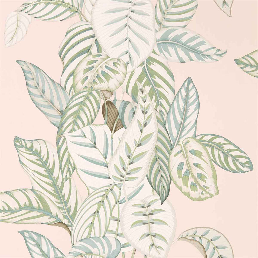 Calathea Orchid & Eucalyptus Wallpaper by Sanderson - 216632 | Modern 2 Interiors