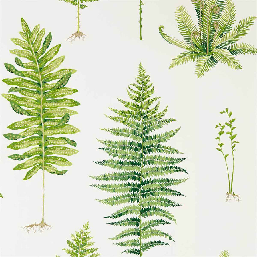 Fernery Botanical Green Wallpaper by Sanderson - 216633 | Modern 2 Interiors