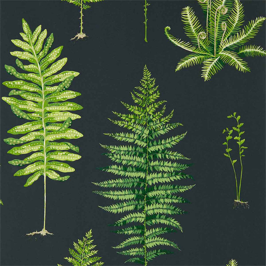 Fernery Botanical Green & Charcoal Wallpaper by Sanderson - 216634 | Modern 2 Interiors