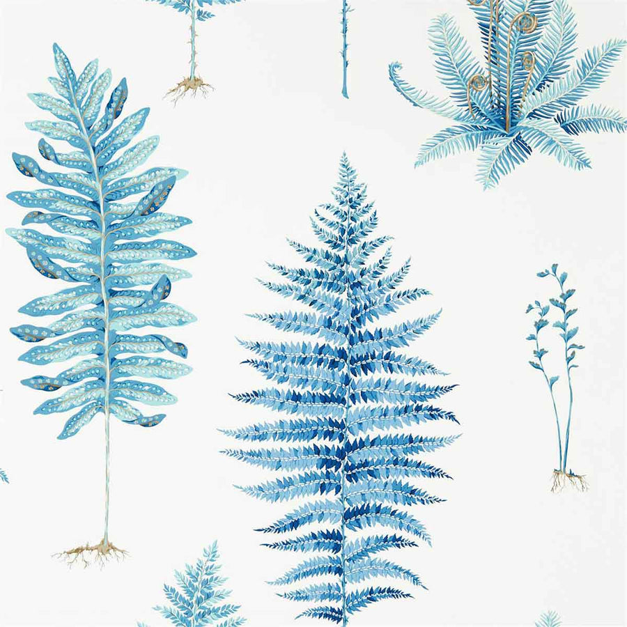 Fernery China Blue Wallpaper by Sanderson - 216635 | Modern 2 Interiors
