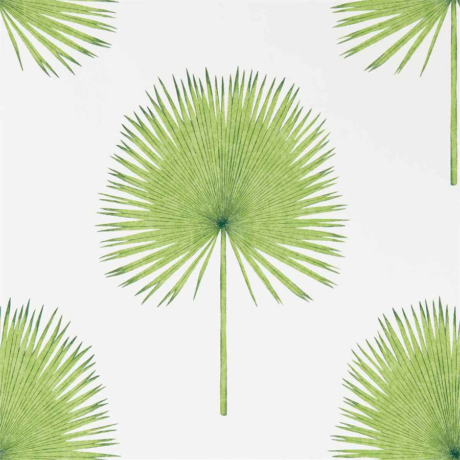 Fan Palm Botanical Green Wallpaper by Sanderson - 216636 | Modern 2 Interiors
