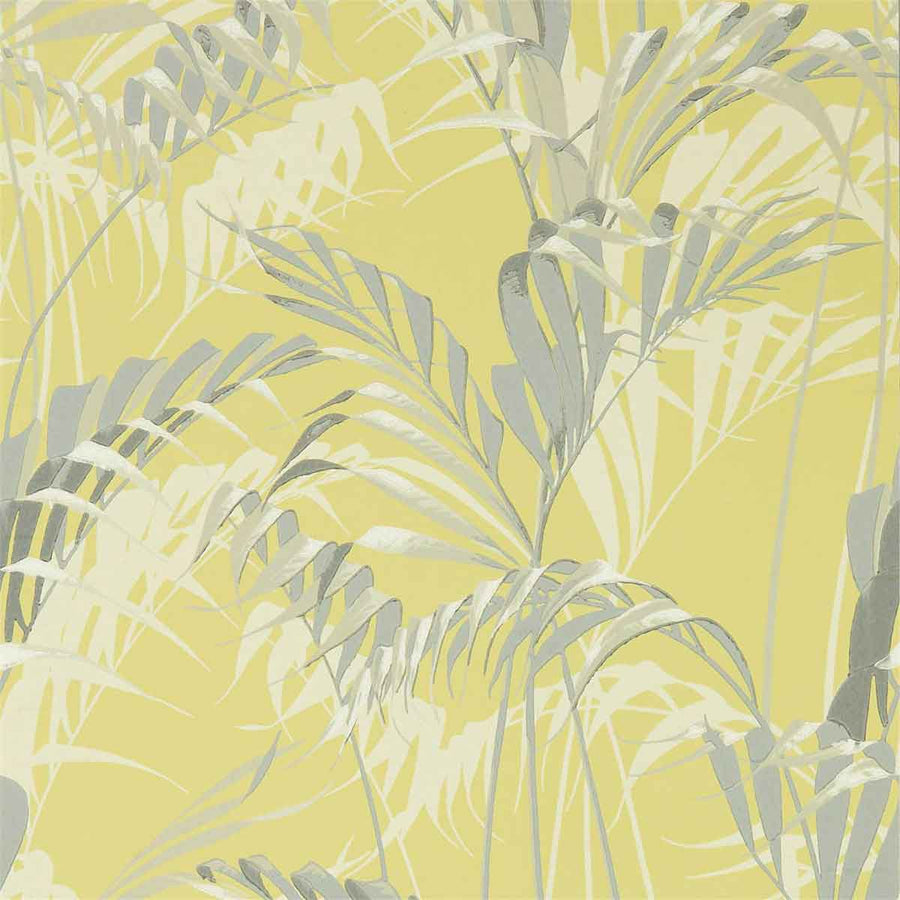 Palm House Chartreuse & Grey Wallpaper by Sanderson - 216642 | Modern 2 Interiors