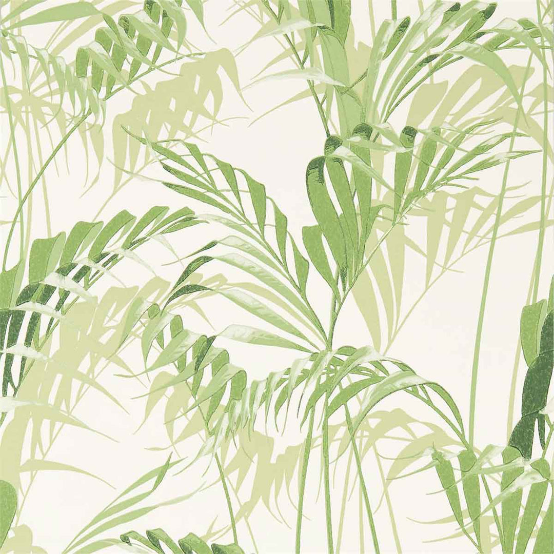 Palm House Botanical Green Wallpaper by Sanderson - 216643 | Modern 2 Interiors