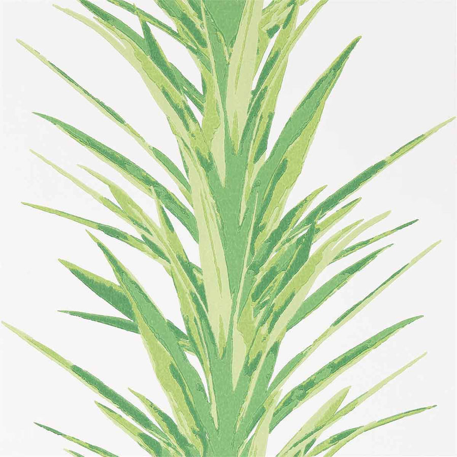 Yucca Botanical Green Wallpaper by Sanderson - 216649 | Modern 2 Interiors