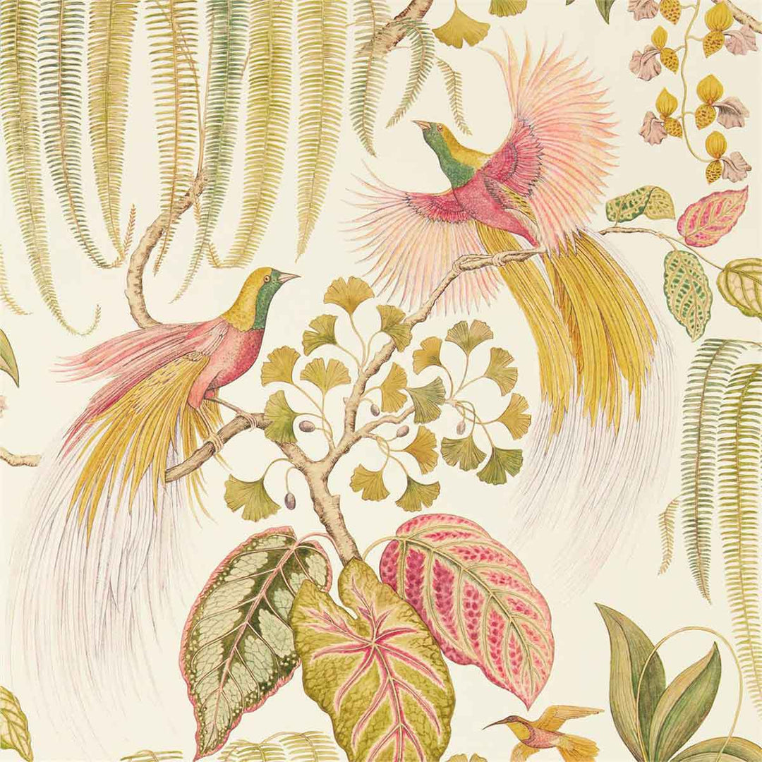 Bird Of Paradise Olive Wallpaper by Sanderson - 216653 | Modern 2 Interiors