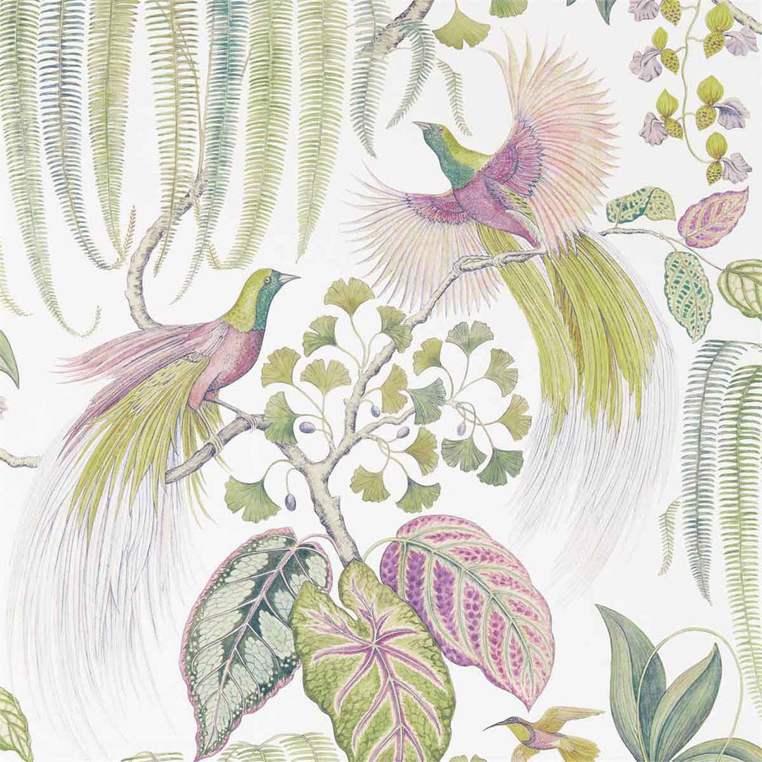 Bird Of Paradise Orchid Wallpaper by Sanderson - 216654 | Modern 2 Interiors