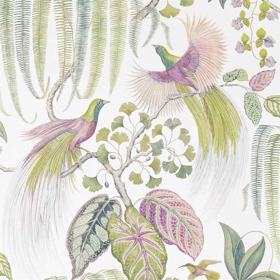 Bird Of Paradise Orchid Wallpaper by Sanderson - 216654 | Modern 2 Interiors