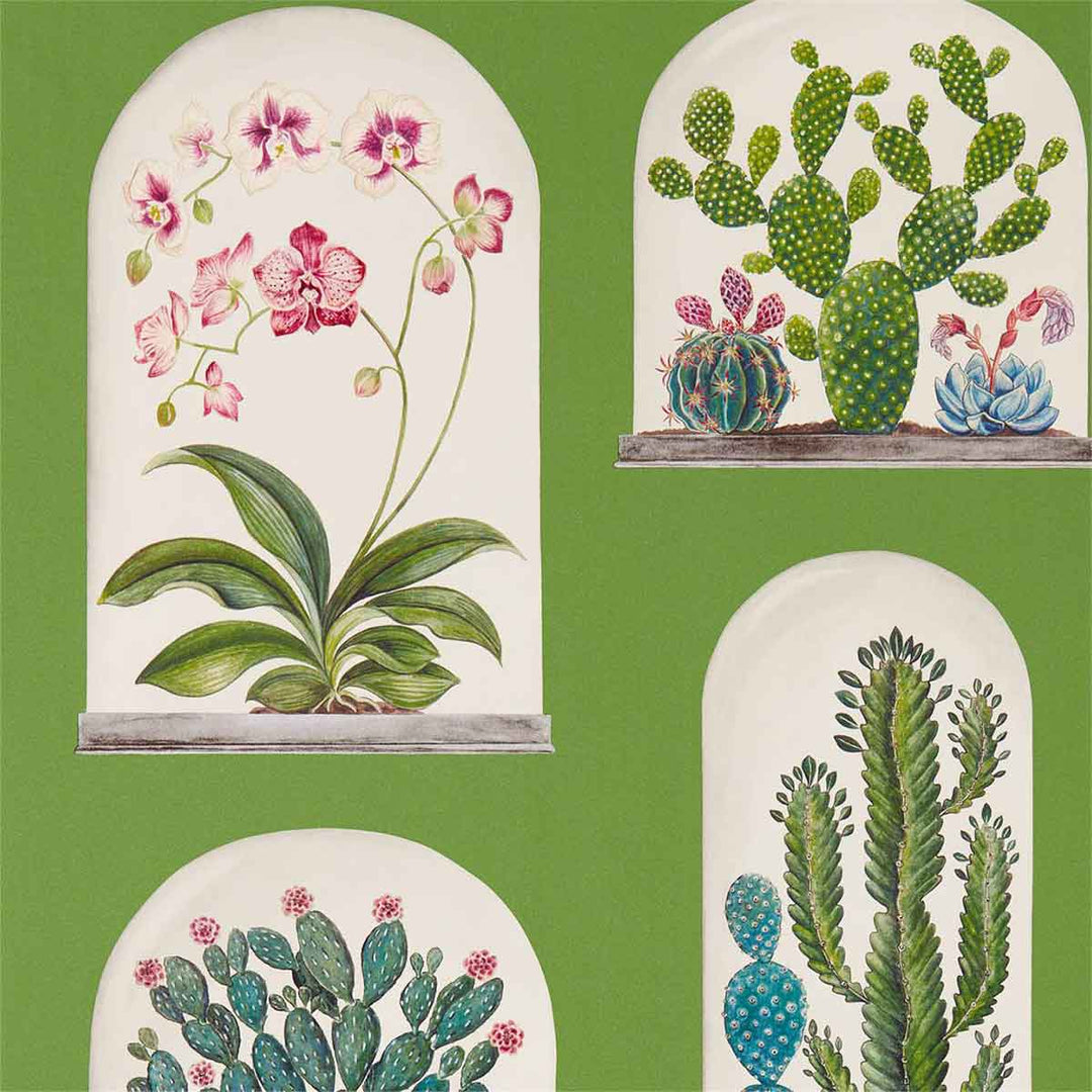 Terrariums Botanical Green Wallpaper by Sanderson - 216656 | Modern 2 Interiors