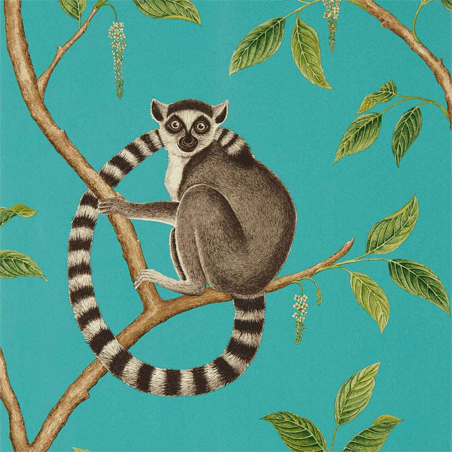 Ringtailed Lemur Teal Wallpaper by Sanderson - 216663 | Modern 2 Interiors